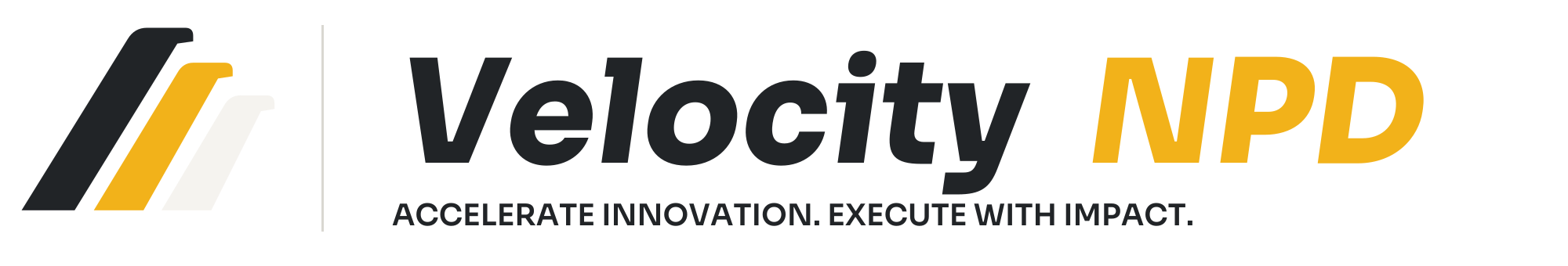 Velocity NPD — Accelerate Innovation. Execute with Impact.